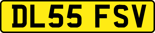 DL55FSV