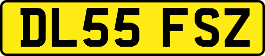 DL55FSZ