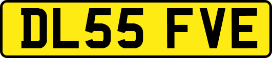 DL55FVE