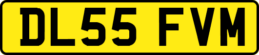 DL55FVM