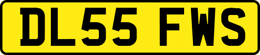 DL55FWS