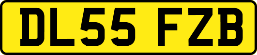 DL55FZB
