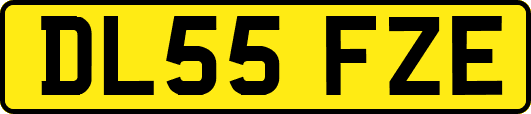DL55FZE