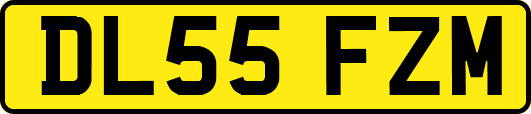 DL55FZM