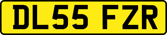 DL55FZR