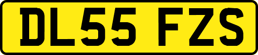 DL55FZS