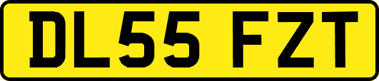 DL55FZT
