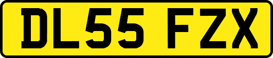 DL55FZX