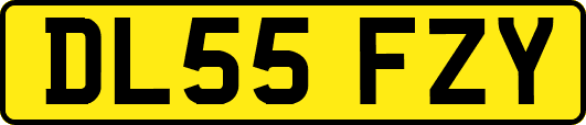 DL55FZY
