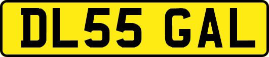 DL55GAL