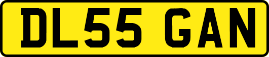 DL55GAN