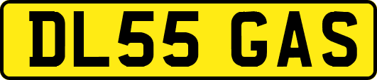DL55GAS