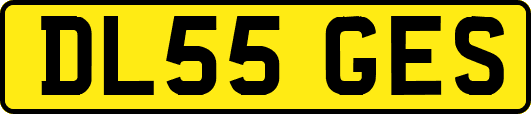 DL55GES