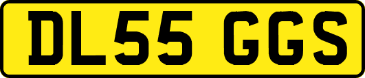 DL55GGS