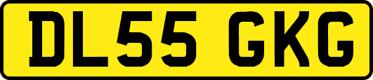 DL55GKG