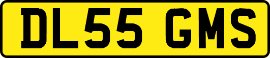DL55GMS