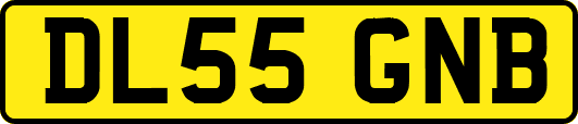 DL55GNB