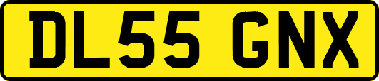 DL55GNX