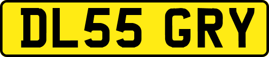DL55GRY