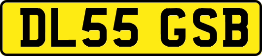 DL55GSB