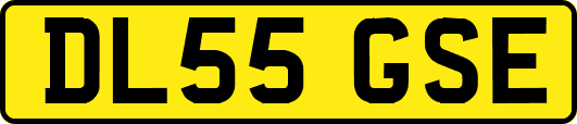 DL55GSE