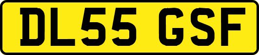 DL55GSF