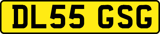DL55GSG
