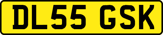 DL55GSK