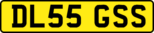 DL55GSS