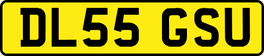 DL55GSU