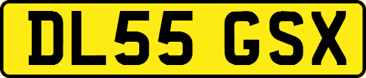 DL55GSX