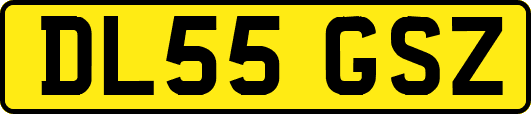 DL55GSZ
