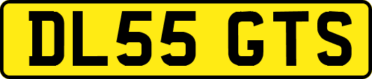 DL55GTS
