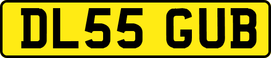 DL55GUB
