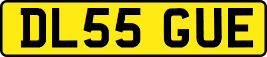 DL55GUE