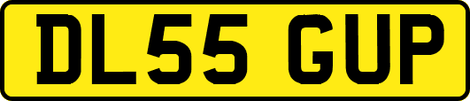 DL55GUP