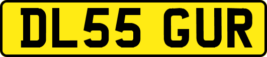DL55GUR