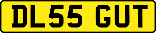 DL55GUT