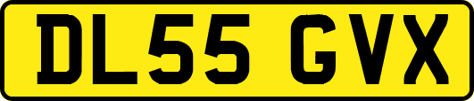 DL55GVX