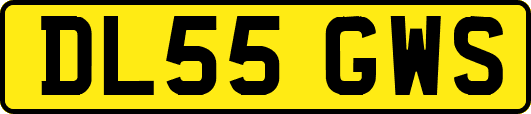 DL55GWS
