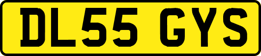 DL55GYS