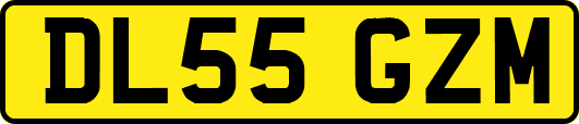 DL55GZM