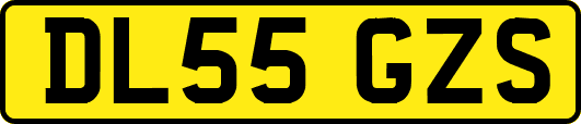 DL55GZS