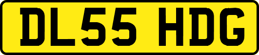 DL55HDG