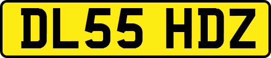 DL55HDZ
