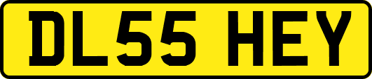 DL55HEY
