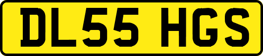 DL55HGS