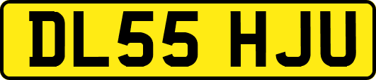 DL55HJU