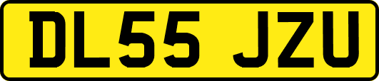 DL55JZU