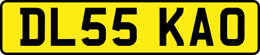 DL55KAO